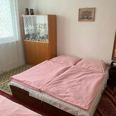 Апартаменты Cely Byt Zelnava Экстерьер фото